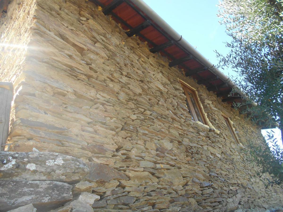 Вілла Casa Da Vinha Em Tabuaco - Douro Екстер'єр фото