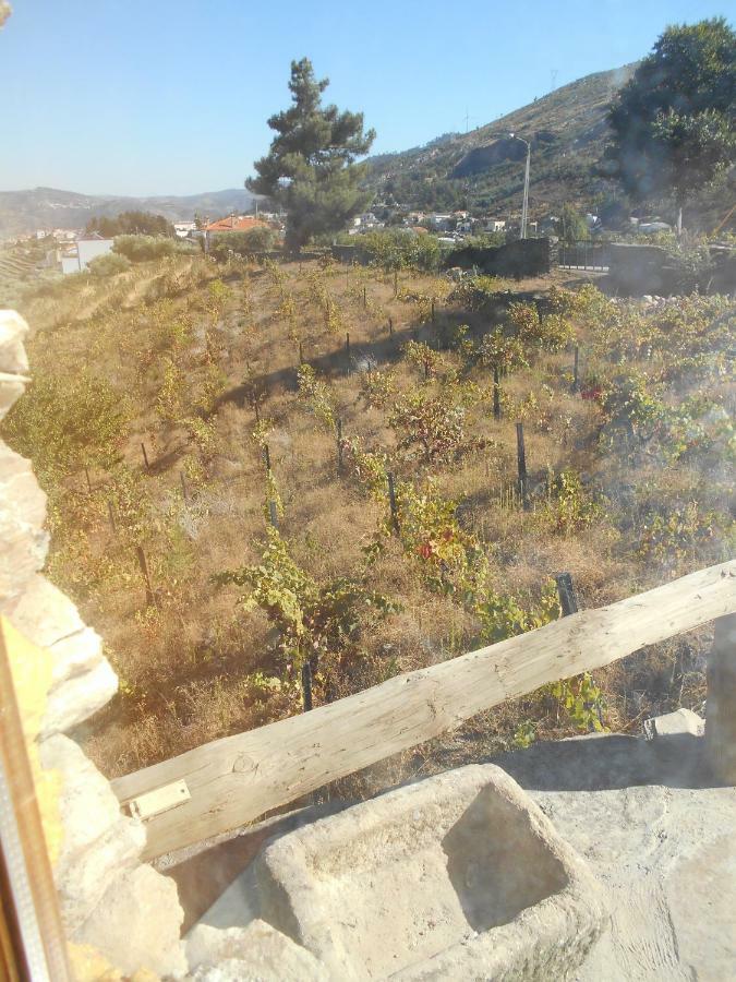 Вілла Casa Da Vinha Em Tabuaco - Douro Екстер'єр фото