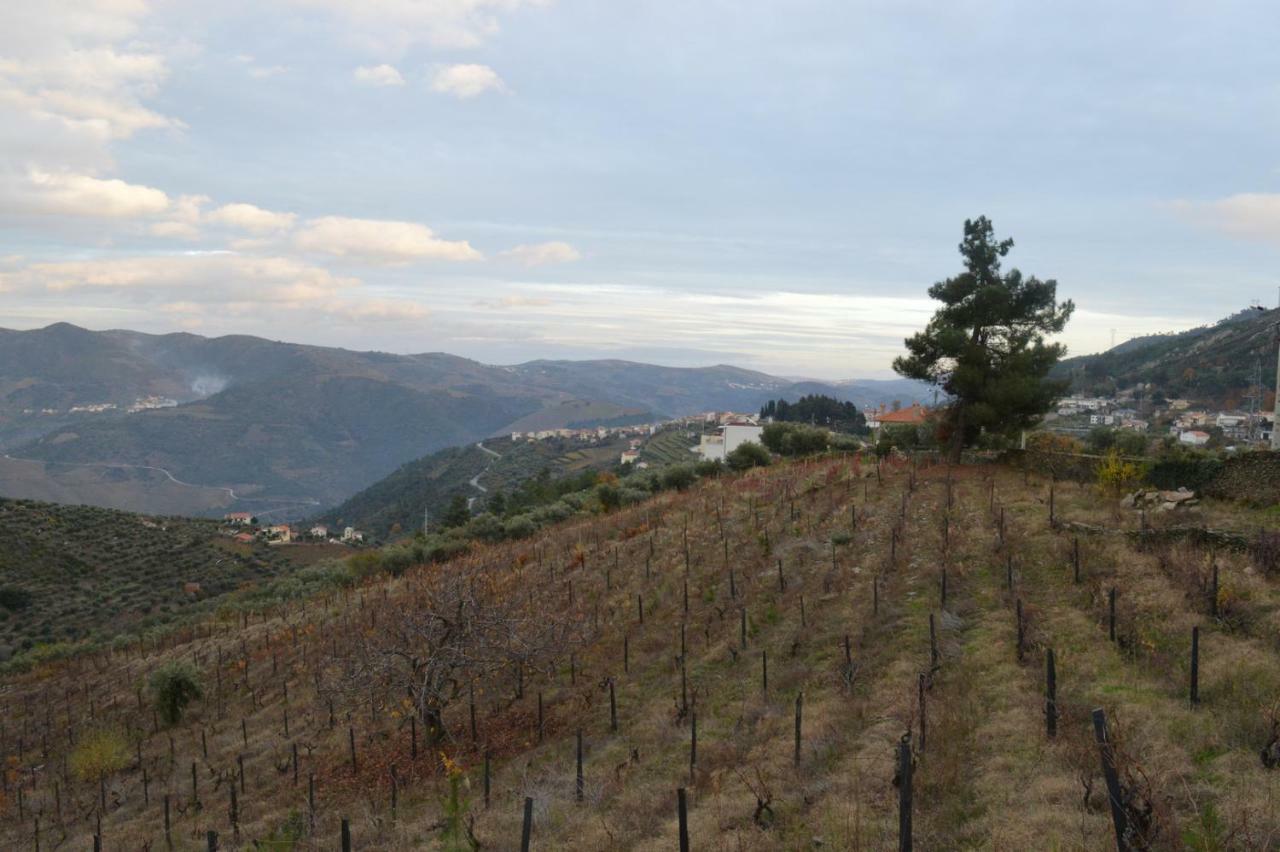 Вілла Casa Da Vinha Em Tabuaco - Douro Екстер'єр фото