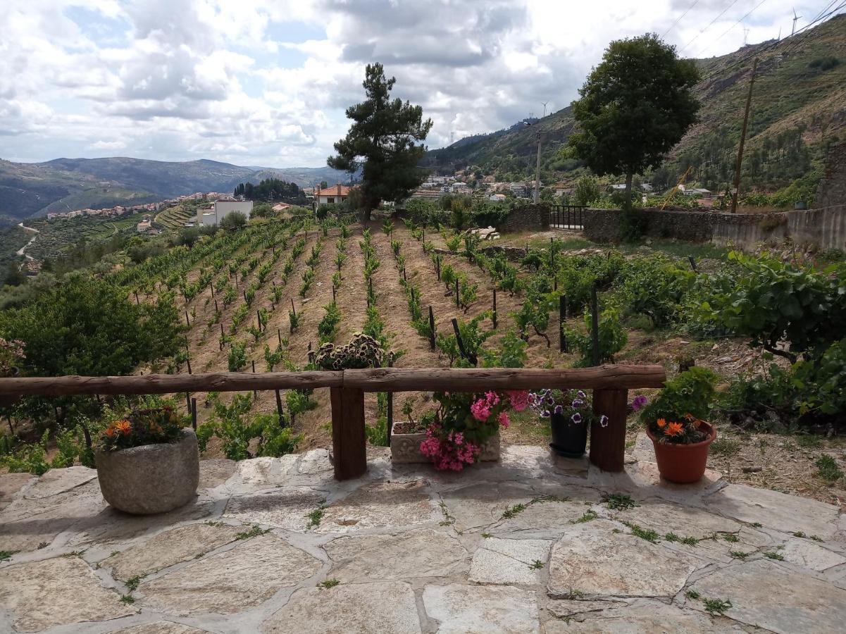Вілла Casa Da Vinha Em Tabuaco - Douro Екстер'єр фото